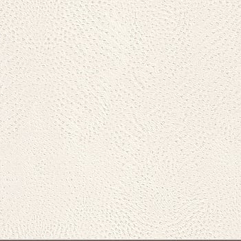 Galerie Wallcoverings Product Code 423655 - African Queen 2 Wallpaper Collection -   